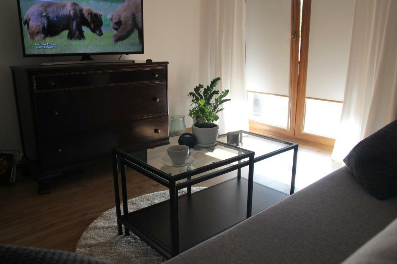 One Cracow Apartment *